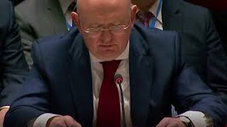 Россия и США в Совбезе ООН после ударов по Сирии