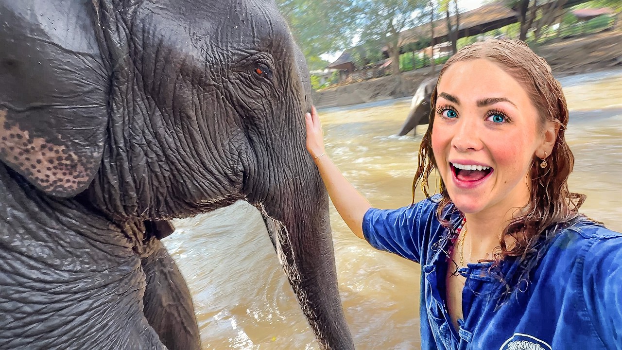 We Swam With Elephants! (with the Ninja Fam)