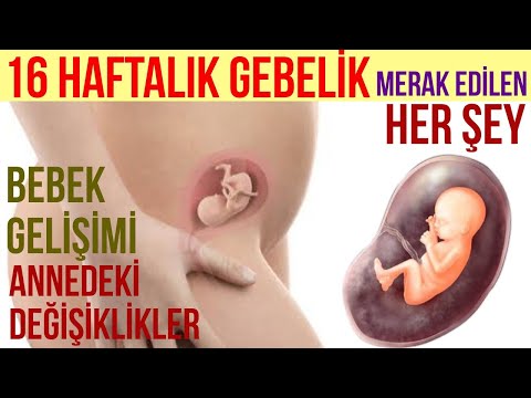 Video: 16 haftalık hamile görünüyor musunuz?