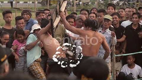 Dynamic Smoke Elements Pack | Motion Graphics Pack | Motion Graphics - Envato elements