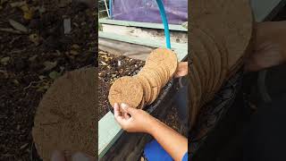 Trying Out My Mulch Mats As A Possible Slug Deterrent