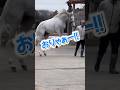 ゴルティの1年前の動画を漁っていたら…