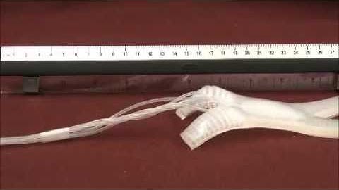 Professor George M. Whitesides, Harvard University: Soft Robotics