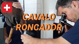 POR DENTRO DO BICHO | CAVALO RONCADOR