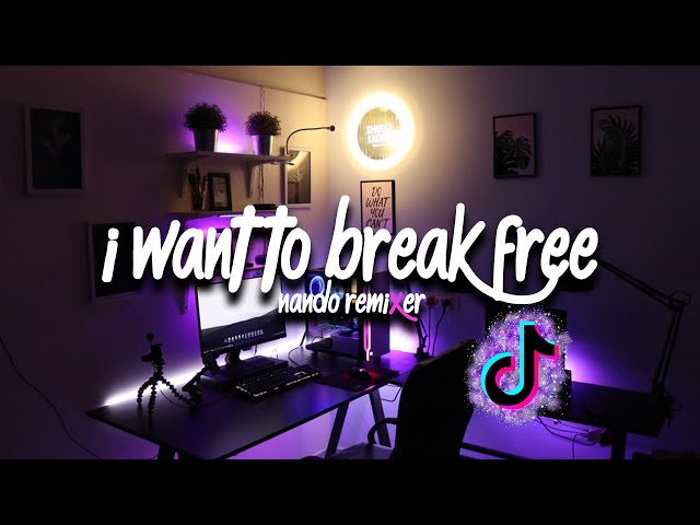 I WANT TO BREAK FREE ❗ Remix 2021 ⚠️ class=