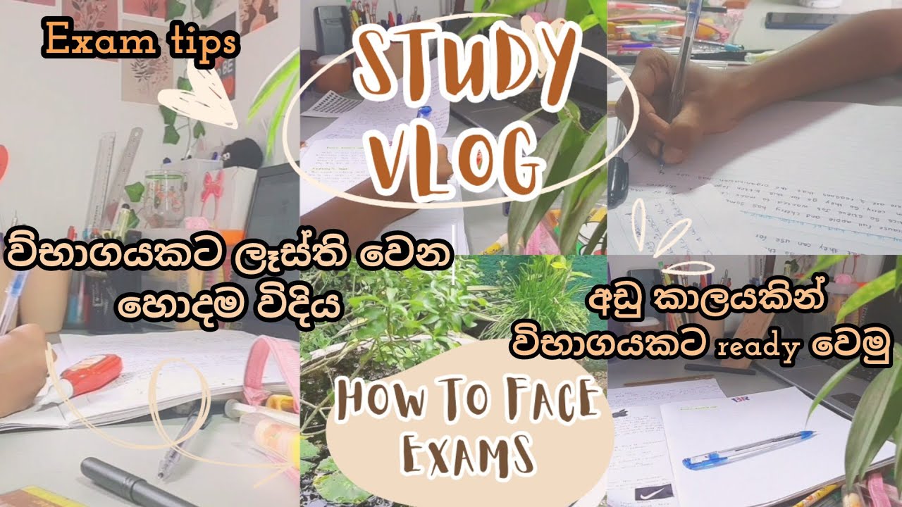 Study vlog📚 |විභාගයකට ලෑස්ති වෙන හොදම විදිය🌈|Exam tips♥️|අඩු කාලයකින් exam එකකට ready වෙන්නේ කොහොමද🌸