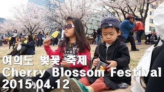 [싸박TV]150412 여의도 벚꽃축제