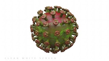 Virus Visualization