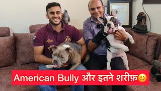 All About American Bully Temperament ? with @PULKITvAmp & Baadal Bhandaari