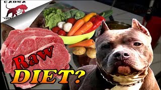 Raw Dog Food Diet for Pitbulls and Bullys ( How to get started) Let's go meat shopping!