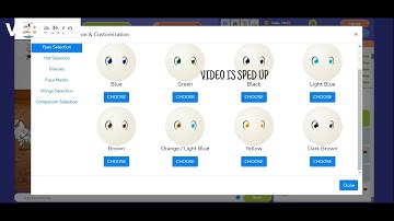 CELEBRATING 100 SUBSCRIBERS | Upside Dawn | Meow Playground