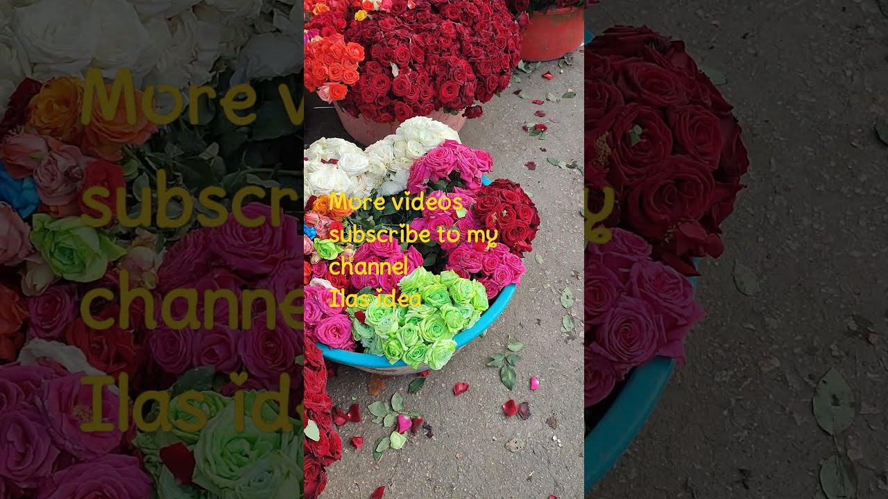 India biggest wholesale flower market Bangalore myshorts krmarket