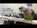 Avoid Parrot Biting - Body Language and Bite Warning Signs