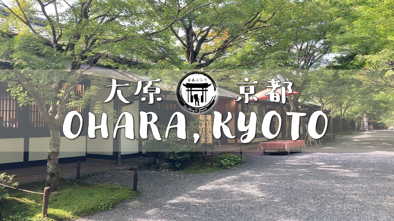 Ohara, Kyoto - Virtual Walking Tour 2022 - 京都大原《4K》