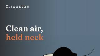 Asthma Pillow and Neck Pain: One Pillow for Both screenshot 5