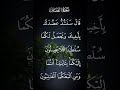 سورة القصص قال سنشد عضدك بأخيك ونجعل لكما سلطانا فلا يصلون إليكما بئاياتنا أنتما الاية ٣٥ سورة القصص قال سنشد عضدك بأخيك ونجعل لكما سلطانا فلا يصلون إليكما بئاياتنا أنتما الاية ٣٥