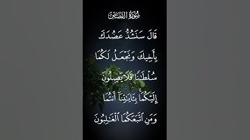 سورة القصص قال سنشد عضدك بأخيك ونجعل لكما سلطانا فلا يصلون إليكما بئاياتنا أنتما الاية ٣٥