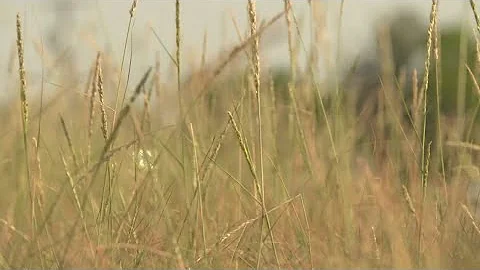 Family gets answers after a wrong-way crash killed a North Texas mother