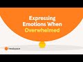 Understanding and Expressing Emotions