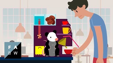 Opossum - 2D animated short film (2014)