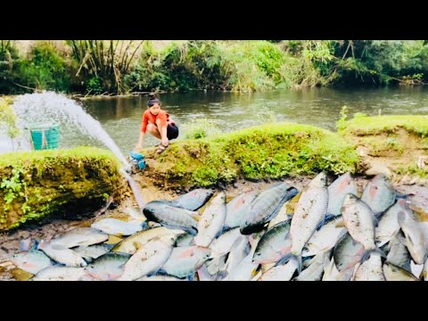 New fishing technique girl uses pump to suck all the water in the lake ...