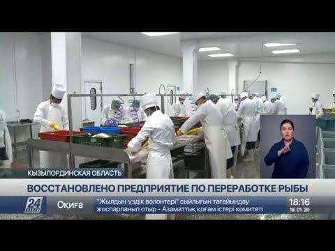 Видео: Восстановился ли промысел трески в Гранд Бэнкс?