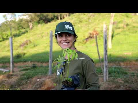 Vídeo: Plantando árvores E Pregando Tolerância Na Floresta Sadhana - Matador Network