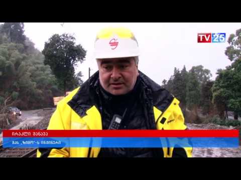 მახინჯაურში ნაძვები გაჩეხეს