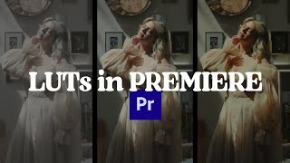 How to Use LUTs in Premiere Pro [Color Grading Tutorial] screenshot 3