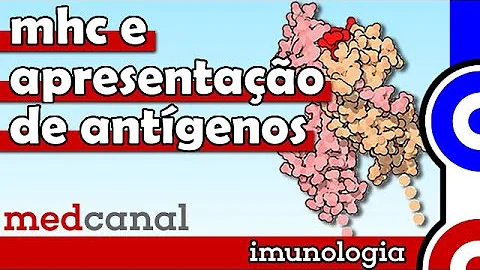 Qual o papel do MHC no reconhecimento e apresentação de antígenos?