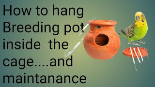How To Hang Breeding Pots Inside The Cage Properly....