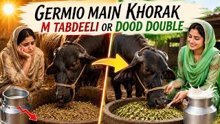 How to Double Milk Production in Summer  Feed Changes, Concentrate Formula &amp; Heat Stress Prevention