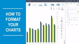 How To Format & Design Your Charts | datapine Net Worth