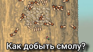 :     Pocket Ants