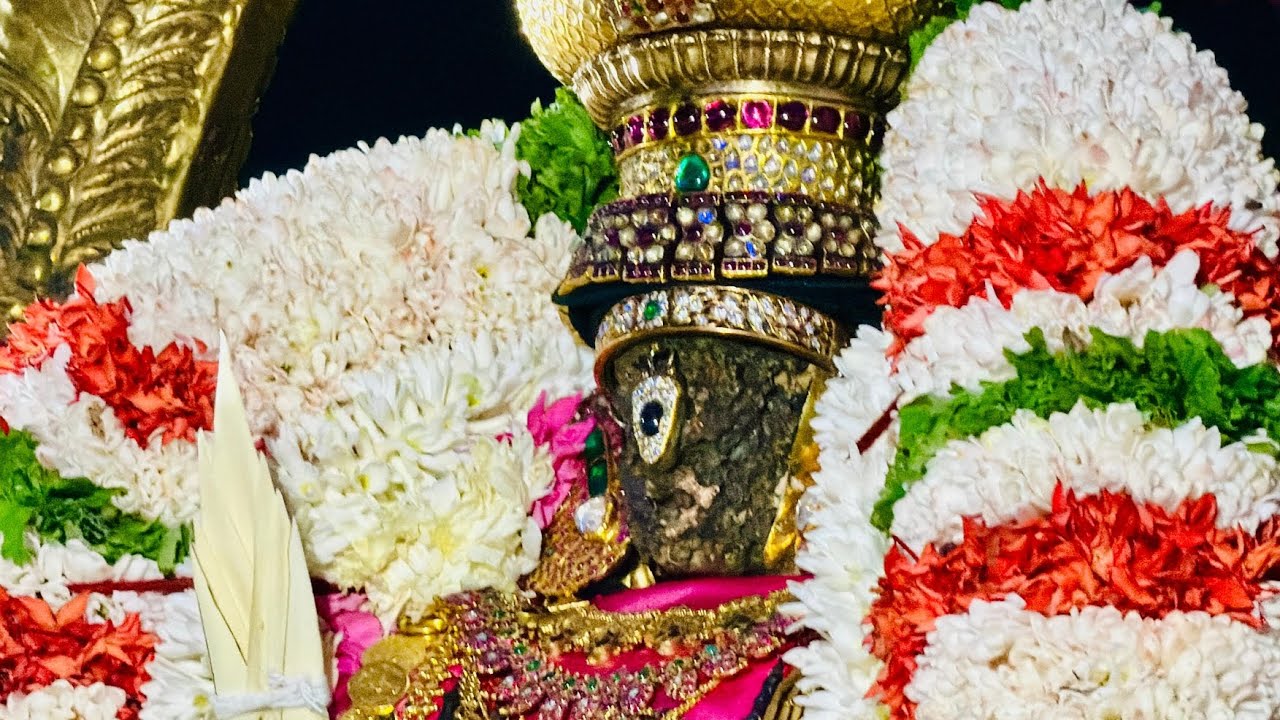 Irrapatthu Day 4 - Thiruvallikkeni Sri Parthasarathy Perumal