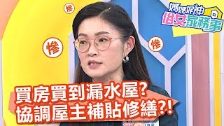 超衰！買房買到漏水屋？協調屋主補貼修繕？！【媽媽好神之俗女家務事】20200303 part1 EP69  何嘉文 范瑞君
