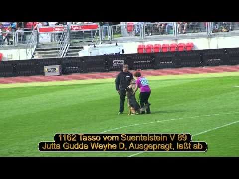 2010 SV BSZS TSB part 8 Ruden V81-V100 HD