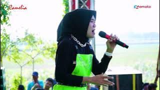 BADAI BIRU   RIZA PALUPI - CAMELIA - ROWO INDAH - HUT RI KE 78 - TUBANAN SEKUPING