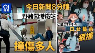 今日新聞｜野豬闖烏溪沙站一帶狂奔撞人　現場遺血路｜台女童澀谷打卡影相　遭惡女狠撞慘摔｜01新聞｜襲警｜刮友｜雪球｜言語挑釁｜野豬｜青衣餅店｜山火｜2026年2月27日 #hongkongnews