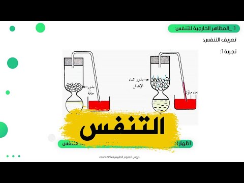 الدرس 11 التنفس علوم طبيعية للسنة اولى ثانوي علوم و تكنولوجيا 