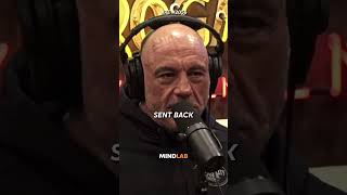 Download Lagu Francis Ngannou's Insane Come Up Story MP3