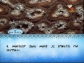 ETHIODURUS Quran Amharic Trans 94 Al Sherh ETHIODURUS Quran Amharic Trans 94 Al Sherh
