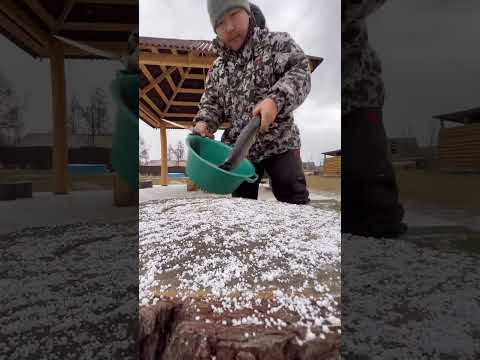 We fry, cook fresh pike😋 / Жарим, варим свежую щуку😋