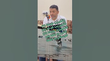 سورة العاديات بصوت القارئ حسن المؤذن