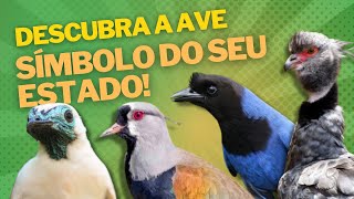 Aves Símbolos Dos Estados Brasileiros Parte 01