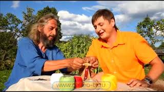 видео: Галилео.  картинка: Галилео.