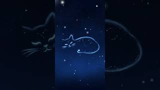 Ai Animat Funny Cat  Cartoon Short 😂 || Black Cat Become Glass Like Cat || 🐱🐾 #cats #ai #animation 🐈