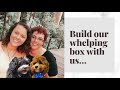 Build our Whelping Box with us ….
