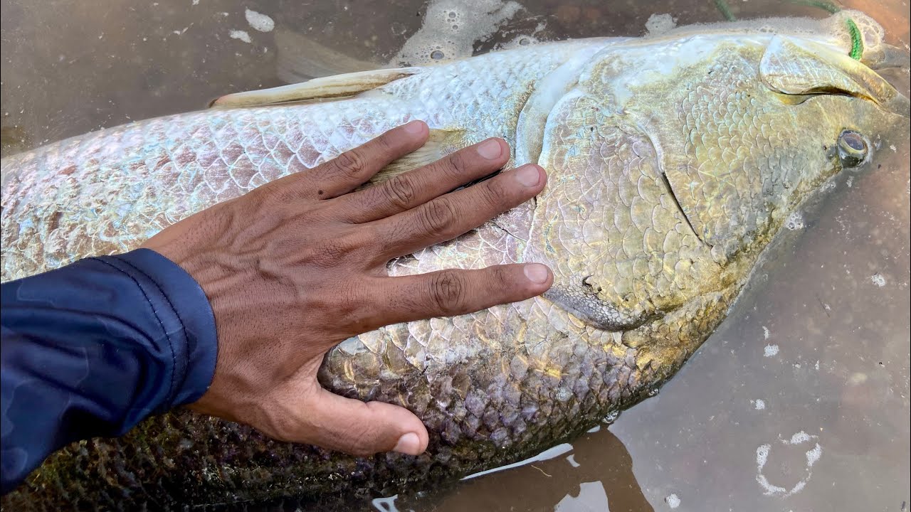 Tangkap Anak Ikan Untuk Memancing Bapak Ikan