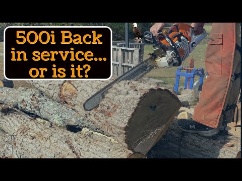500i GOES BACK TO WORK - #225